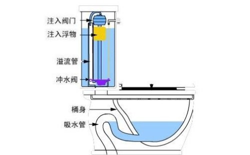 馬桶上的兩個按鈕有什么區(qū)別？你知道該怎么用嗎？